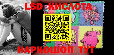 PSILOCYBIN Бугуруслан