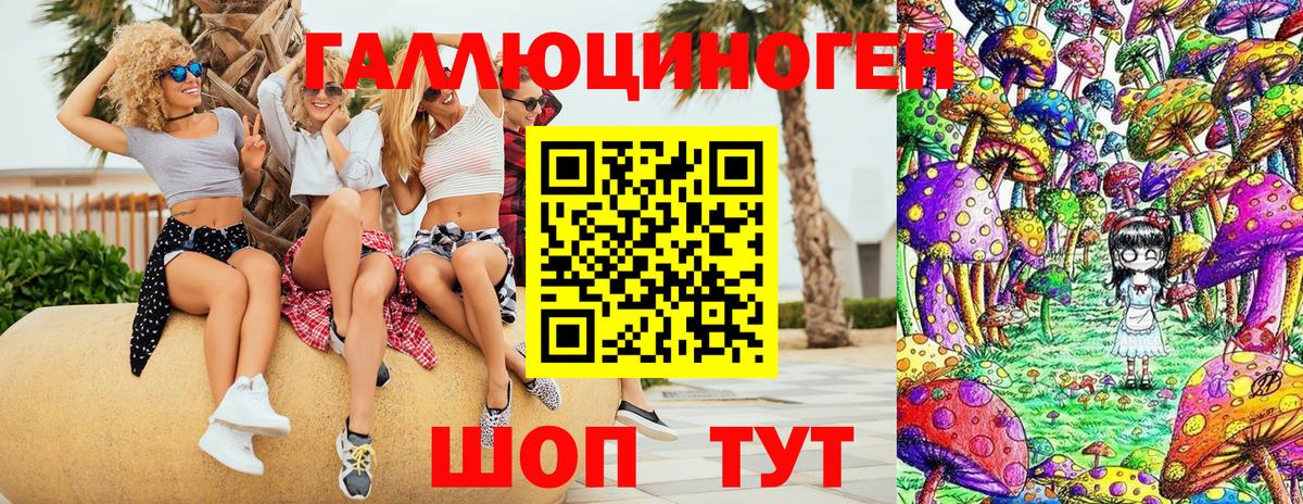 Бошки Шишки  Меф МЯУ МЯУ кристаллы  Каннабис  ГАШИШ  Кокаин  Вход с VPN  Экстази  Ухта  ГАШИШ  Alpha-PVP СК кристаллы  МЕТ  Цена 